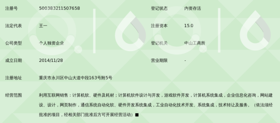重庆永川区钦绍电子商务经营部的软件开发之路 融合电商与技术的创新实践